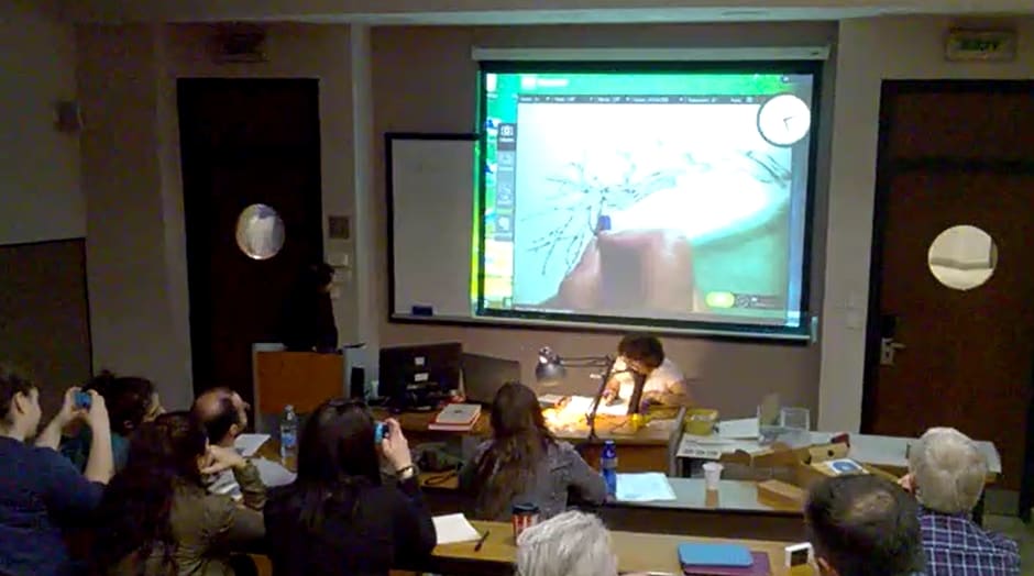 1a_Botanical Illustration Workshop