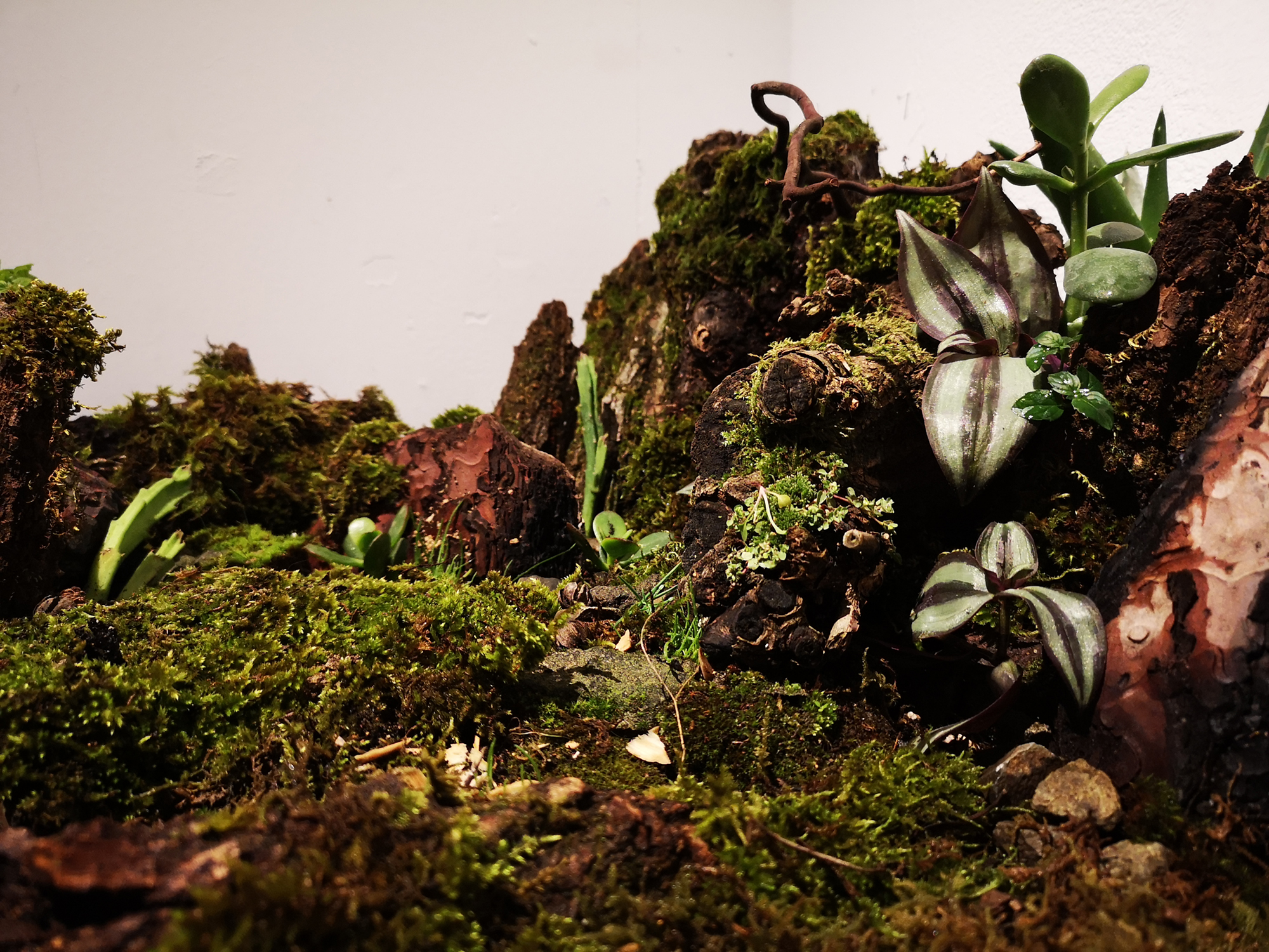 3dc_Lefteris Ioannides