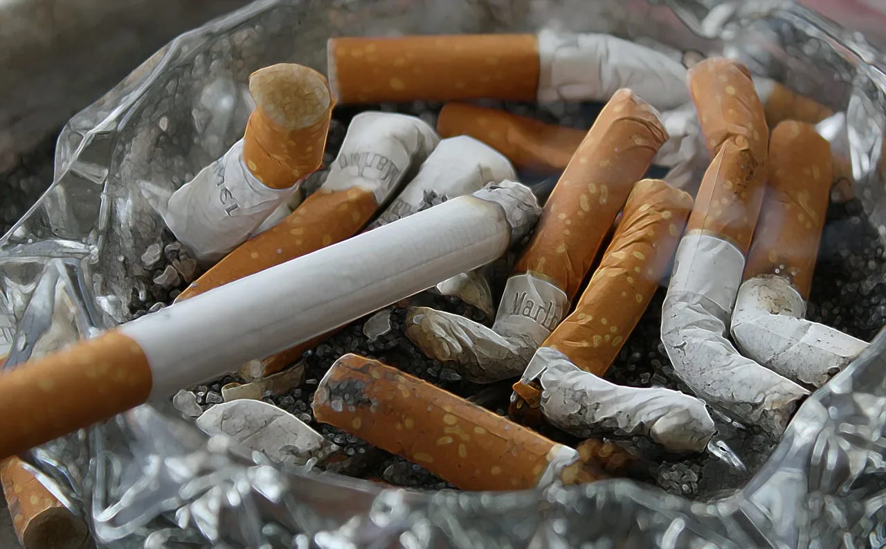 Medical students present “The effects of smoking” at The Senior School, Nicosia