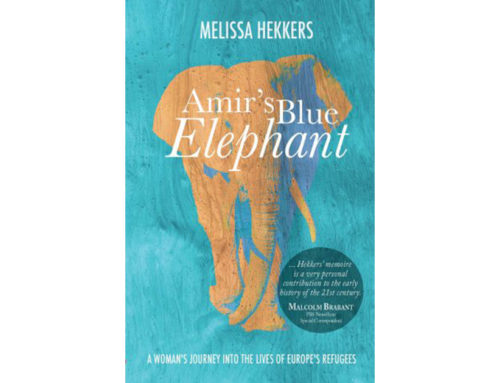 Amir’s Blue Elephant by Armida Books