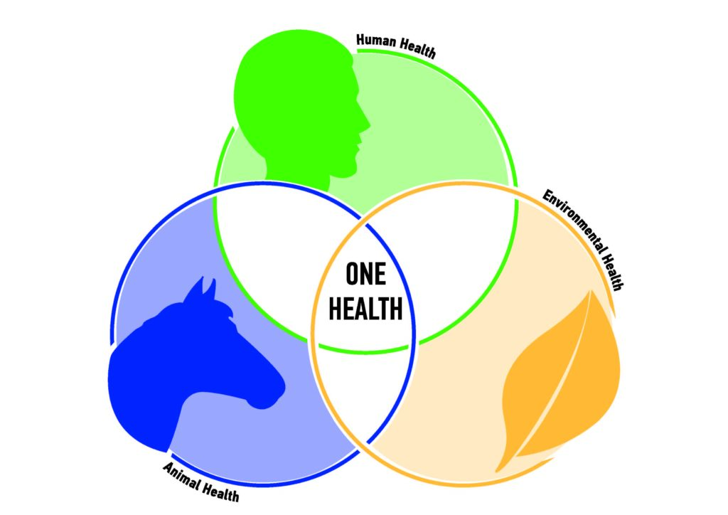 One Health – UNIC | School of Veterinary Medicine