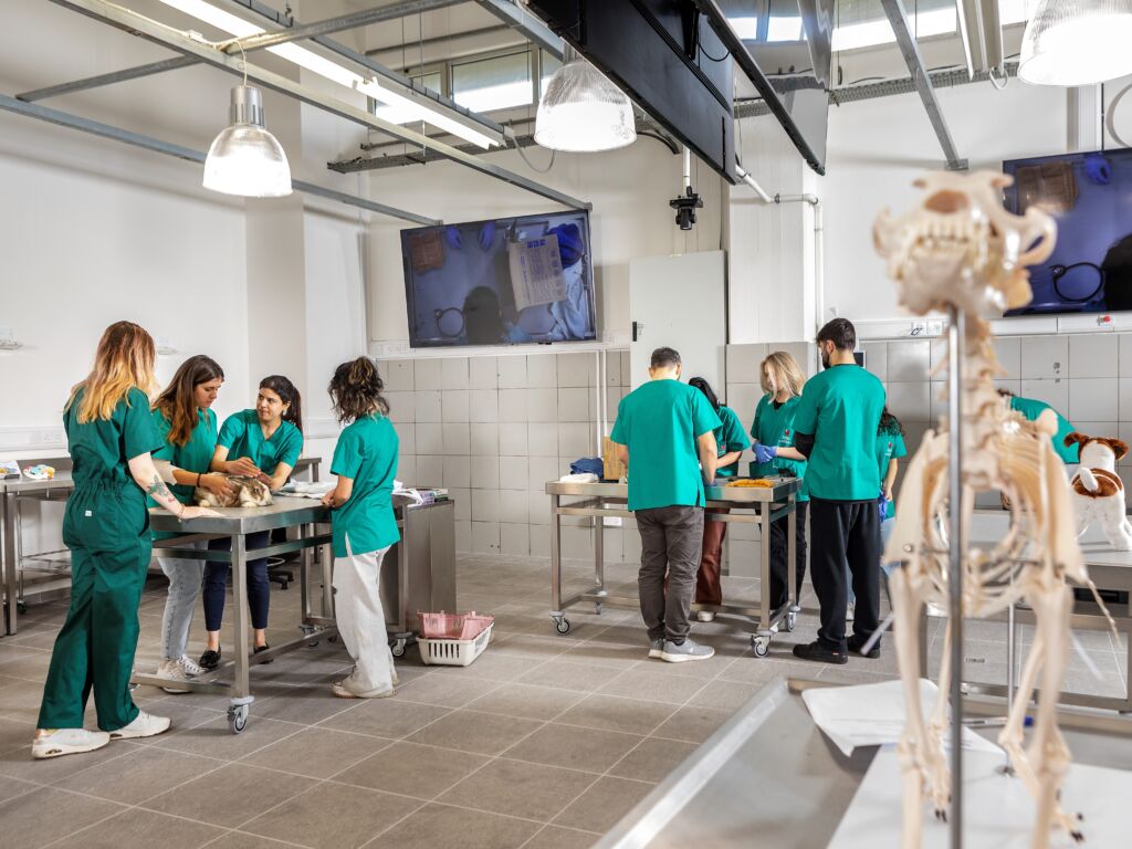 Anatomy Lab – UNIC | School of Veterinary Medicine