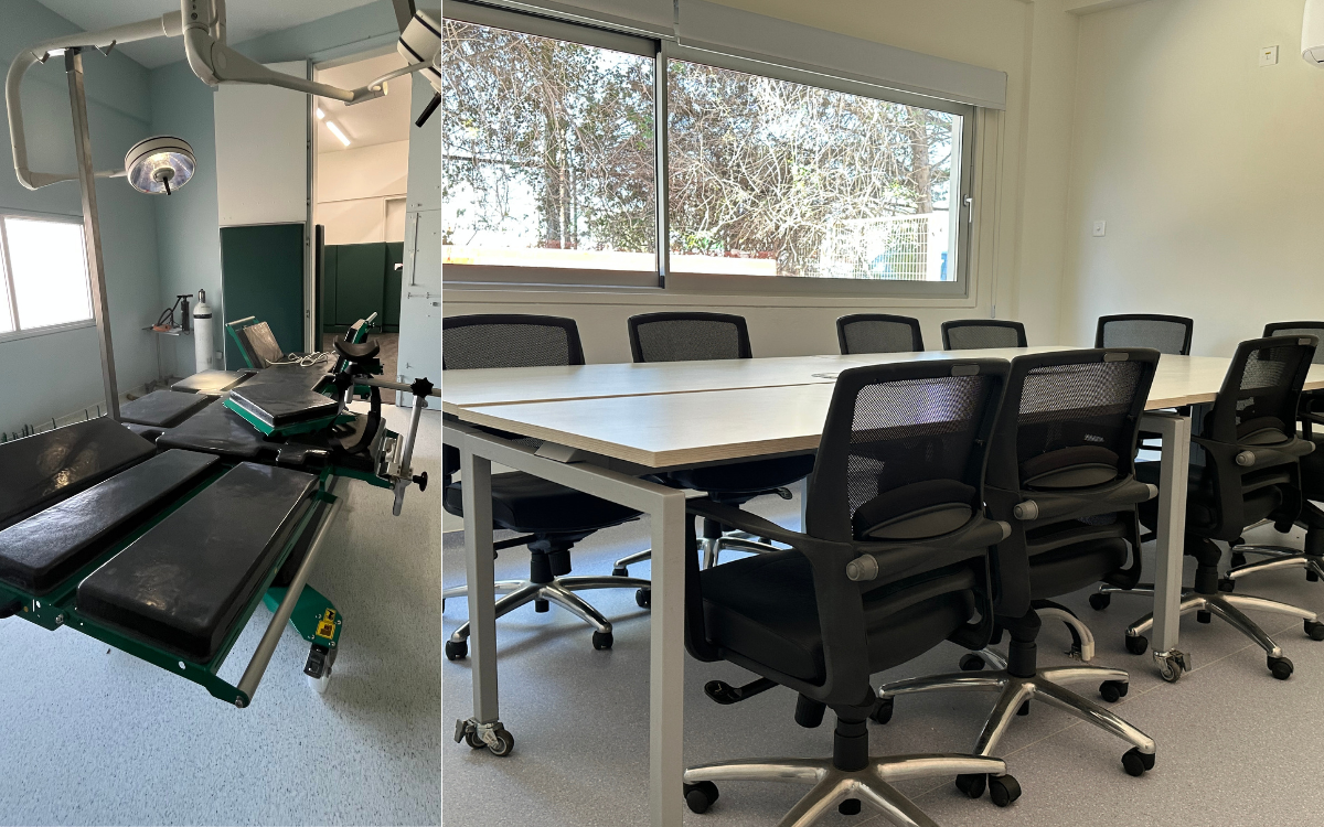 Equine Clinic UNICVet 2