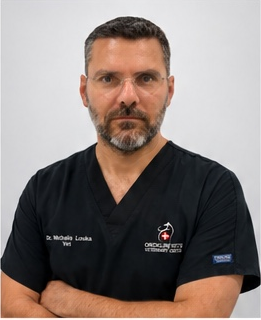 Michalis Louka Michalis Louka
