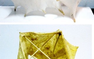 INVERTED UTOPIA: LOST THINGS IN THE SAND