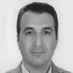 Dr Mohammad Reza Mahmoudi 
