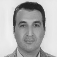 Prof Mohammad Reza Mahmoudi