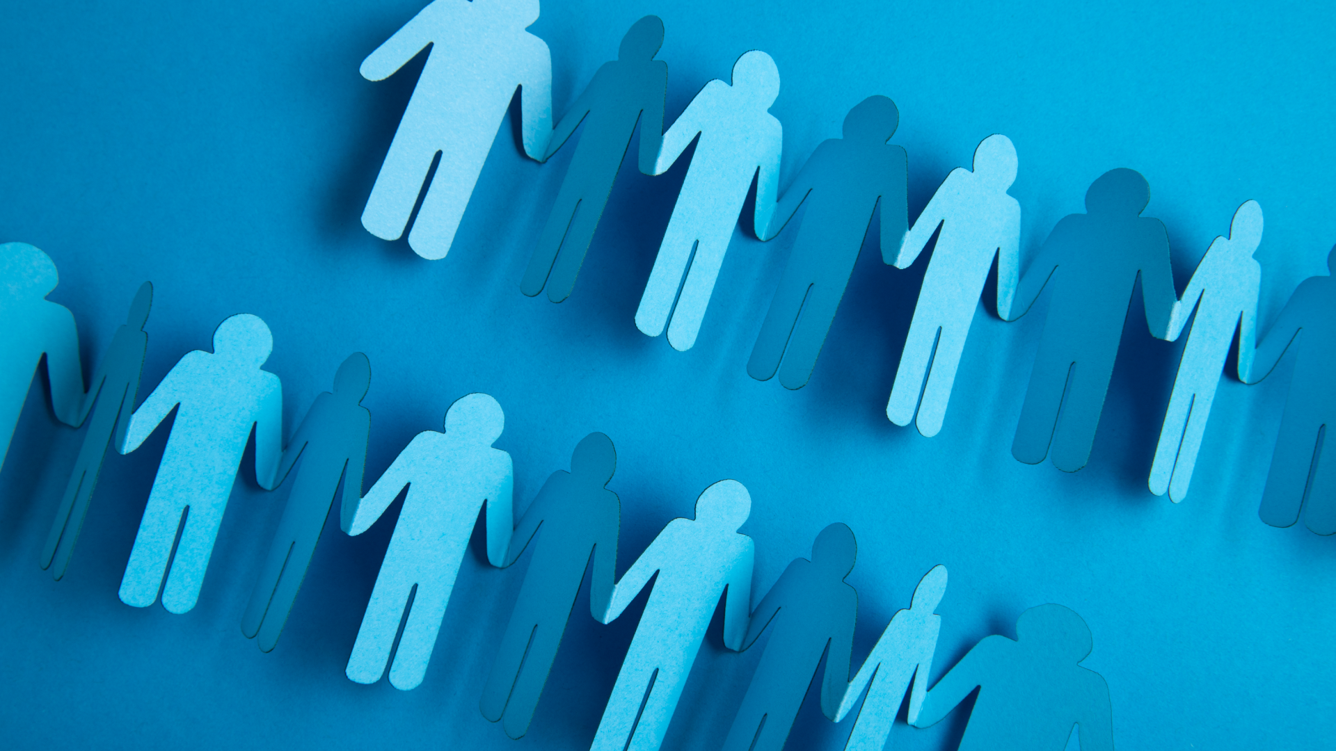 Online webinar on public administration and good governance hosted by the University of Nicosia MPA programme