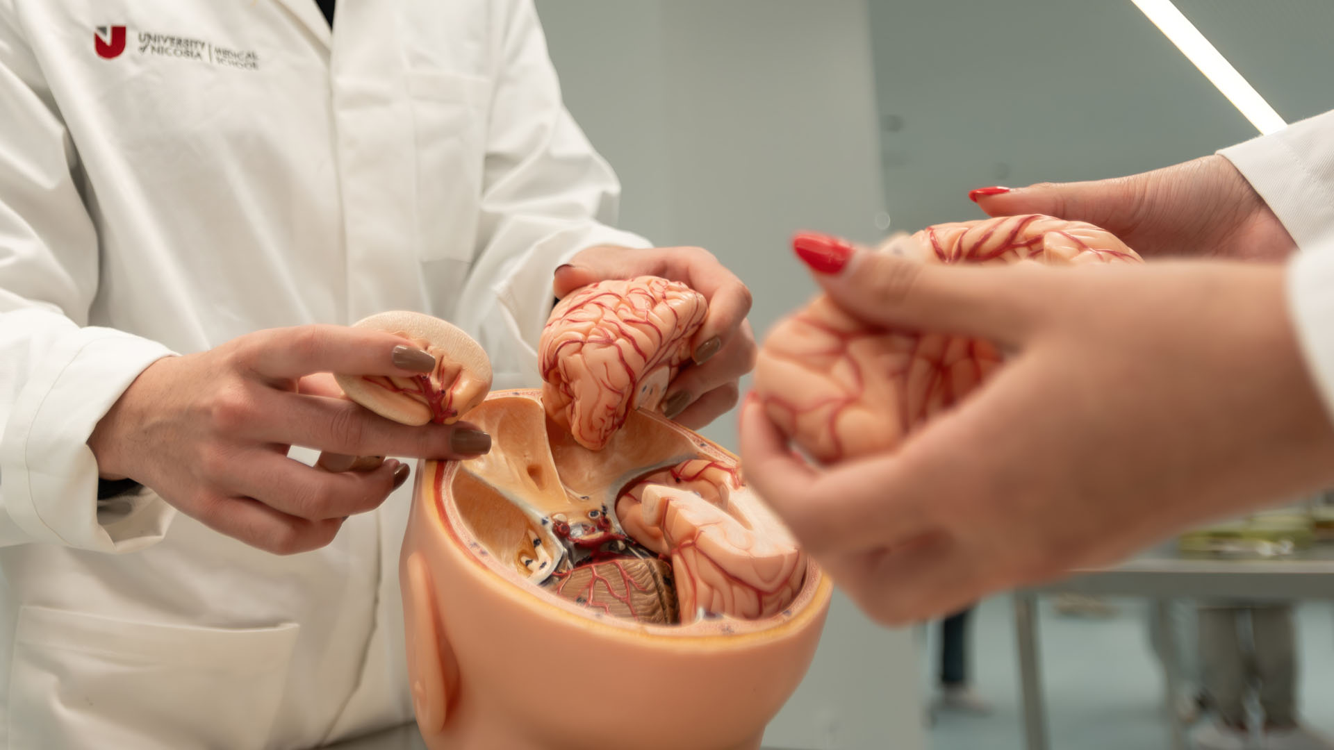 2604_ATH_OLYB_CMPS_Anatomy Lab MOI SZ69151_web
