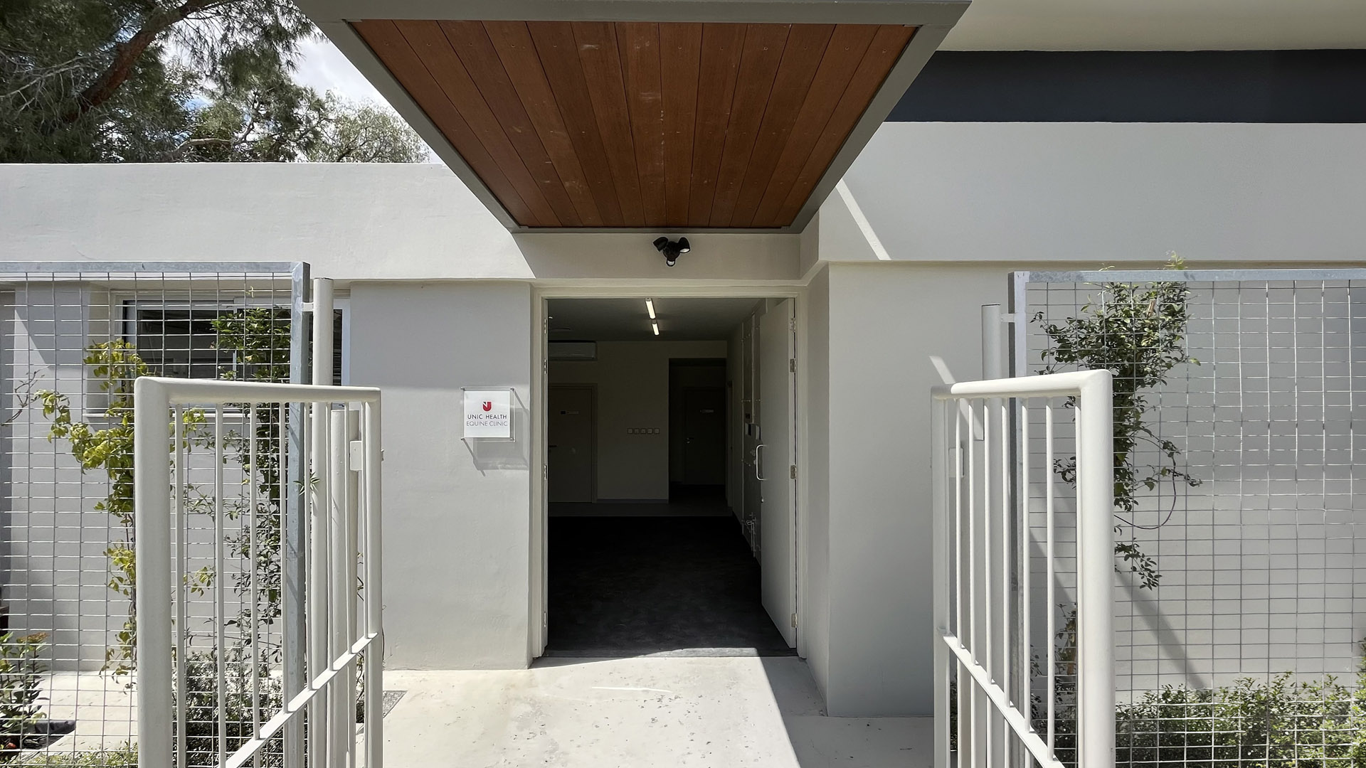 Equine Clinic (2)
