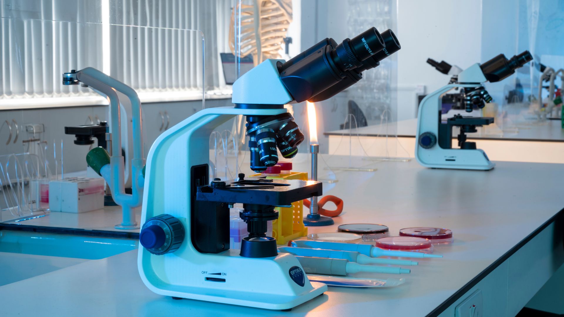 Biology, Microbiology, Biochemistry and Pharmacology Teaching Laboratory (1)
