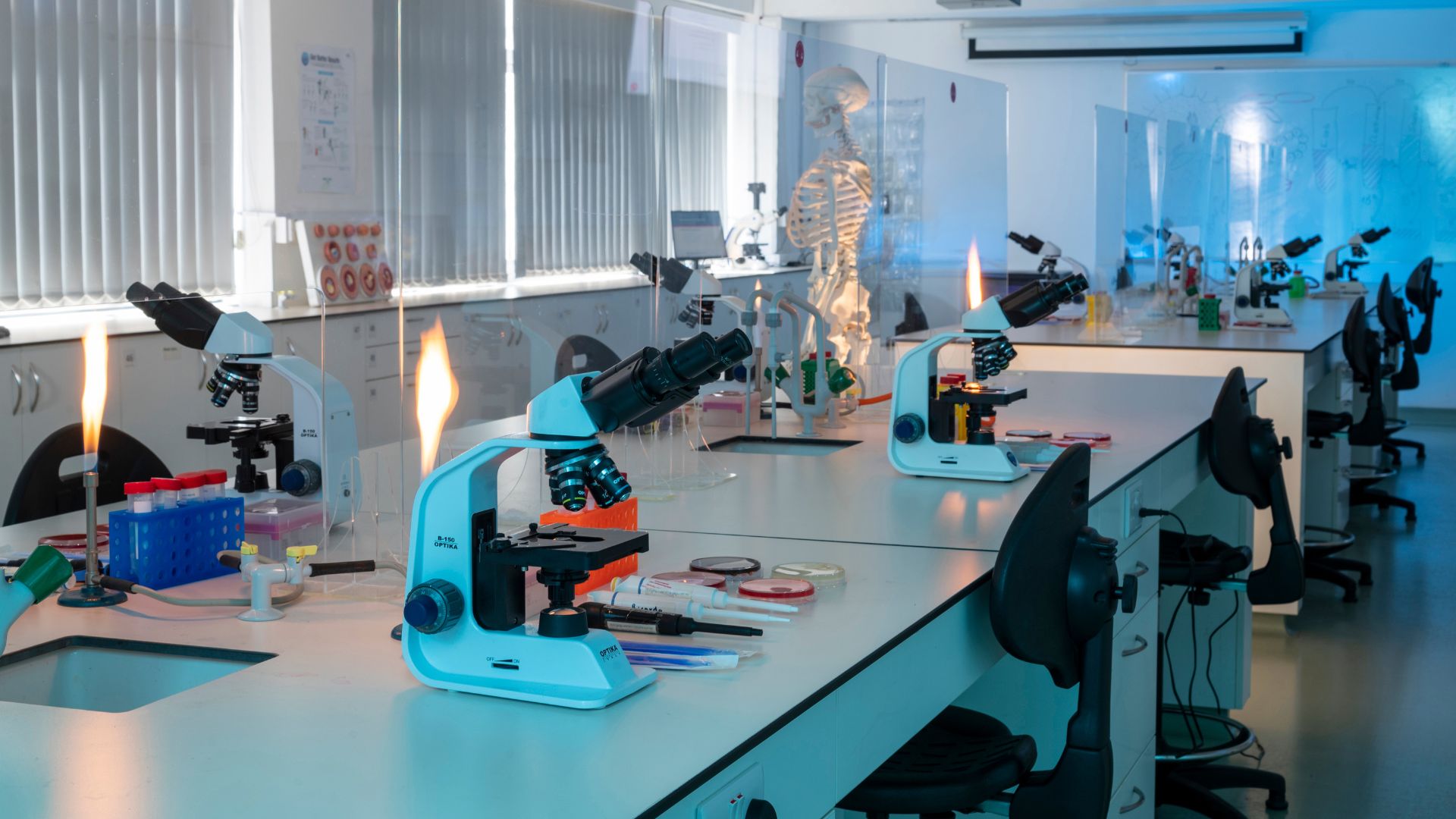 Biology, Microbiology, Biochemistry and Pharmacology Teaching Laboratory (2)