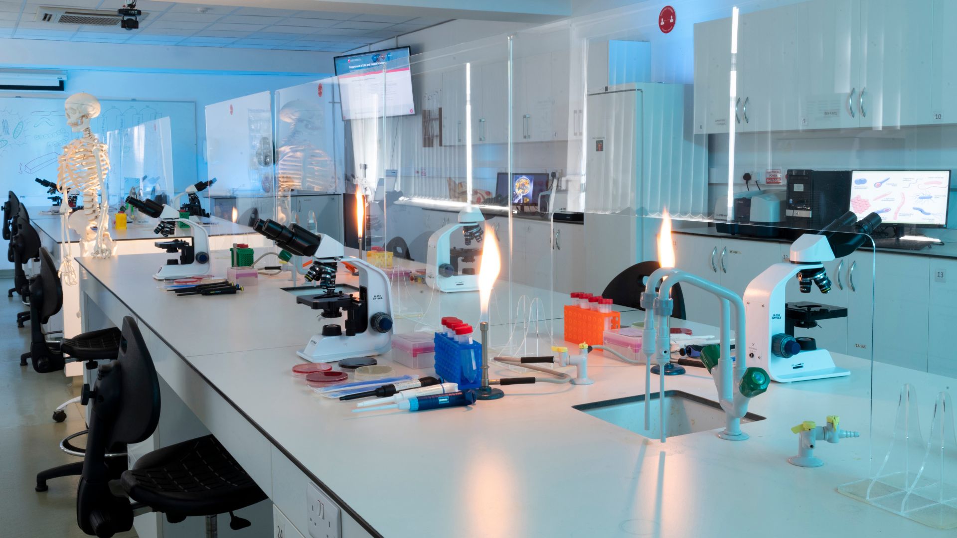 Biology, Microbiology, Biochemistry and Pharmacology Teaching Laboratory (3)
